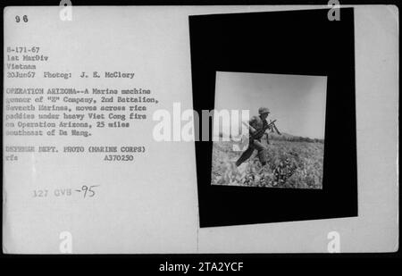 Marine machine gunner from 'g' Company, 2nd Battalion, Seventh Marines, makes way through rice paddies amidst intense Viet Cong resistance during Operation Arizona, 25 miles southeast of Da Nang. Photographed by J. E. McClory on June 20, 1967. Defense Department Photo (Marine Corps). Reference number: A370250 327 GVB-95. Stock Photo