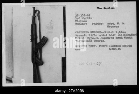 U.S. Marines display captured weapons during the Vietnam War, specifically a Soviet 7.62mm AK47 assault rifle (Model AK47 Kalashnikov) and a Chinese Type-56 rifle captured from North Vietnamese troops. This photograph was taken on February 28, 1967, by SSgt. H.A. Magness, and is from the collection of the U.S. Department of Defense (Marine Corps). Stock Photo