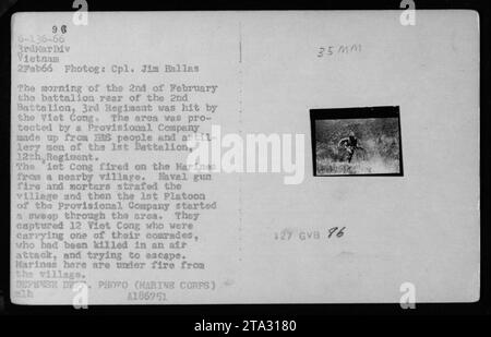 'Marines under fire from a nearby village during combat in Vietnam. On February 2, 1966, the battalion rear of the 2nd Battalion, 3rd Regiment was targeted by Viet Cong. A provisional company, composed of ESS personnel and artillery men from the 1st Battalion, 12th Regiment, retaliated with naval gun fire and mortars. The 1st Platoon of the provisional company successfully captured 12 Viet Cong attempting to escape, while also recovering a fallen comrade.' Stock Photo