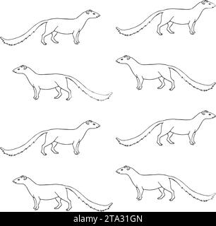 Vector seamless pattern of hand drawn doodle sketch mongoose isolated on white background Stock Vector