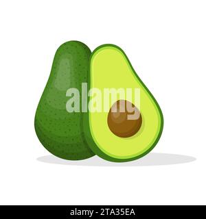 Avocado whole and half isolated on white background. Green avocado fruit with seed food icon. Summer fruits for a healthy lifestyle. Organic fruits. Stock Vector