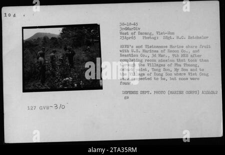 ARVN soldiers and Vietnamese Marines offer fruit to U.S. Marines of the 3rd Marine Division in 1965. The gathering took place after a reconnaissance mission in various villages, including Phu Thuong, Tong Son, My Son, and Dong Son, where no Viet Cong members were found. The photo was taken by SSgt. H.C. Batchelor. Stock Photo