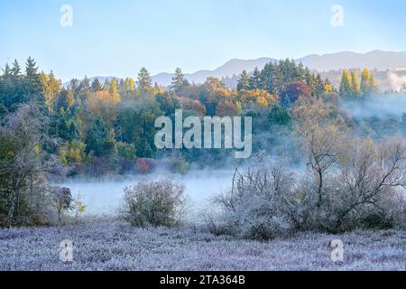 Fall morning, Deer Lake Park, Burnaby, British Columbia, Canada Stock Photo