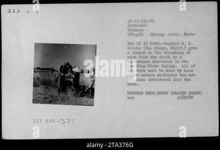 Captain R.P. Brooks from San Diego observes a Vietnamese harvester threshing rice by hand in the Cam Bien River Valley on September 28, 1965, illustrating traditional agriculture and civilian life during the Vietnam War. Stock Photo
