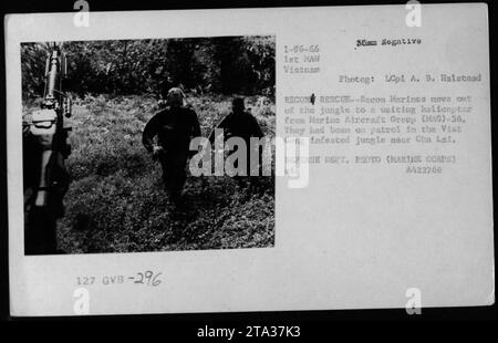 Reconnaissance Marines from Marine Aircraft Group (MAG)-36 move out of a jungle to board a waiting helicopter. The marines had been on patrol in the Viet Cong infested jungle near Chu Lai during the Vietnam War. This photograph was taken by LCpl A. B. Haletaad and is a Defense Department photo. Stock Photo