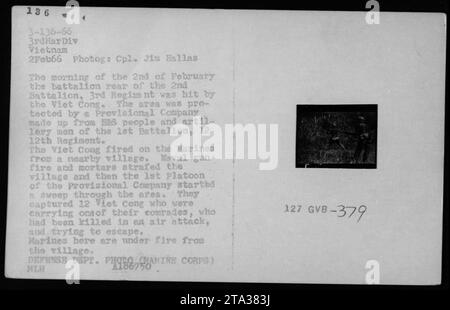 'Marines under fire from a nearby village during the Vietnam War. The battalion rear of the 2nd Battalion, 3rd Regiment was attacked by the Viet Cong on February 2, 1966. The Marines responded with naval gun fire and mortars, and the 1st Platoon of the Provisional Company conducted a sweep of the area, capturing 12 Viet Cong. Photographed by Cpl. Jim Hallas.' Stock Photo