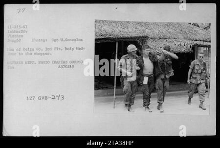 Marine Sergeant H. Gonzalez from Delta Company is shown providing assistance to a wounded soldier during a medical evacuation in Vietnam on August 3, 1967. The soldier is being escorted to the helicopter for evacuation. This photograph was taken by a military photographer from the Defense Department and is part of the American Military Activities during the Vietnam War collection. Stock Photo