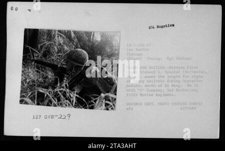 Amarine Private First Class Richard C. Spaniol (Rochester, Minn.) observes the jungle for any indications of enemy presence during Operation Auburn, which was carried out south of Da Nang on December 28, 1967. He belongs to 'I' Company, 3rd Battalion of the Fifth Marine Regiment. This photograph was taken by Sergeant Dickman, courtesy of the U.S. Defense Department (Marine Corps). Stock Photo