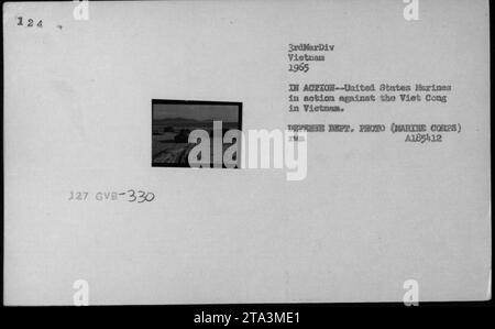 United States Marines engage Viet Cong in 1965, with tanks in action ...