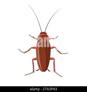 Cockroach insect isolated on white background, Pest bug icon top view. Flat body parasite pollution, roaches vector illustration. Stock Vector