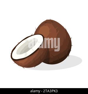 Coconut brown fruit half cut slice isolated on white background. Summer fruits for healthy lifestyle. Tropical food, organic natural product. Stock Vector