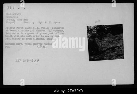 Private First Class R. L. Turley, an automatic rifleman with the 3rd Platoon, 'K' Company, 3/4, is pictured waiting in a grove of pines just off the beach with his unit in Dannng, Viet-lin on April 14, 1965. The photograph was taken by Sgt. R. F. Ayers and is an official Defense Department photo from the Marine Corps. The image depicts a US soldier equipped with military weapons during the Vietnam War. Stock Photo