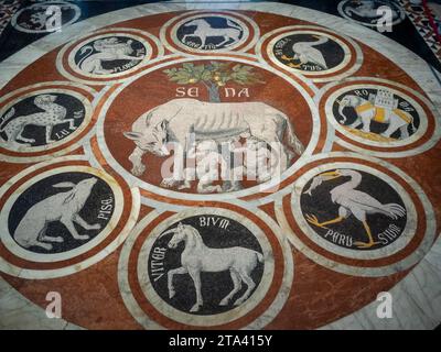 The Sienese she-wolf among the symbols of the allied cities, Siena Cathedral floor Stock Photo