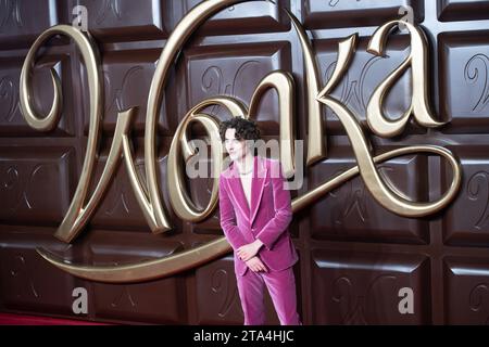 London, UK. 28 Nov, 2023. Pictured: Timothee Chalamet attends The World Premiere of 'Wonka' at Royal Festival Hall, Southbank. Credit: Justin Ng/Alamy Live News Stock Photo