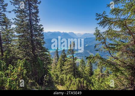 Der Herzogstand ist ein Berg in den Bayerischen Voralpen mit 1731 m ü. NHN nordwestlich des Walchensees. Er gehört zum Gebiet der Gemeinde Kochel am S Stock Photo