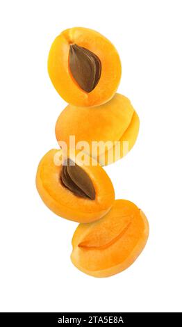 hanging, falling, hovering and flying whole and sliced apricot isolated on white background with clipping path Stock Photo