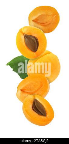 hanging, falling, hovering and flying whole and sliced apricot isolated on white background with clipping path Stock Photo