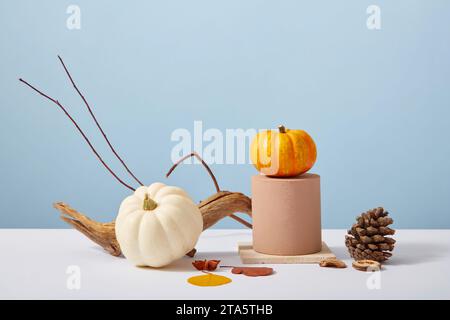 Minimalist scene for advertising and branding product with Thanksgiving concept. Mini pumpkins on podium decorated with dry twigs and leaves on pastel Stock Photo