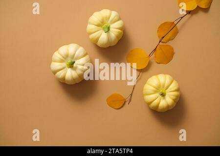 Photography warm autumn concept Notebook, pumpkins, dried leaves and wool scarf decorated on brown background. Top view, space for design and text Stock Photo