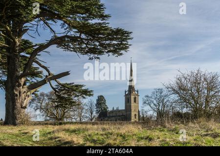 A distant view across fields of the church of St Peter and St Paul, Easton Maudit, , Northamptonshire, UK; framed by a Cedar of Lebanon tree Stock Photo