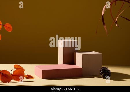 Minimalist creative background for cosmetics or products presentation with Autumn concept. Three geometries podiums with orange leaves and dry pine co Stock Photo