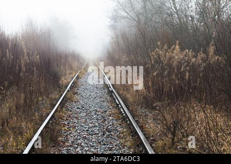 An empty old railway goes through a foggy forest, background photo Stock Photo