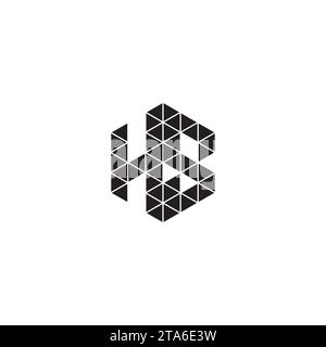HS initial logo letters in high quality professional design that will print well across any print media Stock Vector