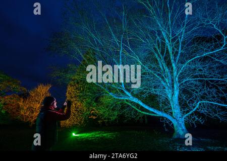 A man stands taking pictures on a phone at the unveiling of this years Christmas light display at Westonbirt, The National Arboretum, where visitors can walk through the “Enchanted Christmas” pathways through the trees lit up for the festive season. Stock Photo