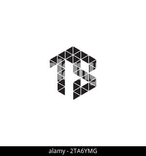 TS initial logo letters in high quality professional design that will print well across any print media Stock Vector