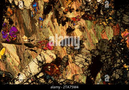 Amphibolite with garnet. Amphibolite is a metamorphic rock rich in amphibole. Photomicrograph, thin section, polarized light. Stock Photo