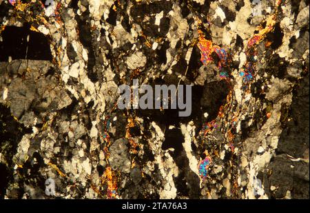 Gneiss is a metamorphic rock with banded texture. Photomicrograph, thin section, polarized light. Stock Photo