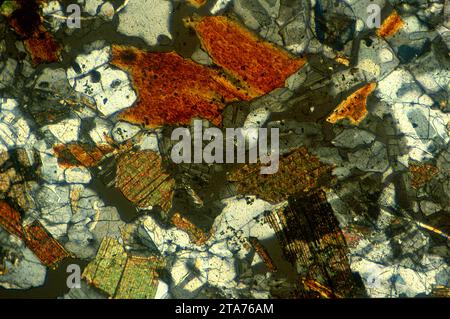 Granite is an igneous intrusive rock widely distributed on continental crust. Photomicrograph, thin section, polarized light. Stock Photo