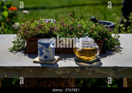 The Apothecary terrace functional working garden (flowering healing herbs, recycled materials) - RHS Tatton Park Flower Show 2023, Cheshire England UK Stock Photo