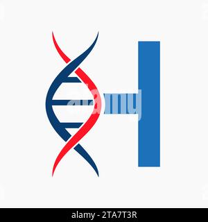 Dna Logo On Letter H, Genetics Logotype, Medicine Symbol Stock Vector