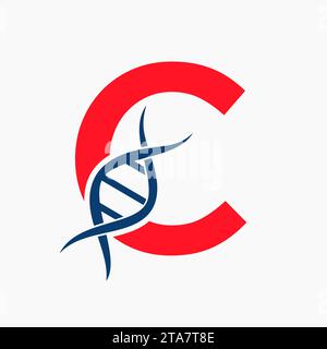 Dna Logo On Letter C, Genetics Logotype, Medicine Symbol Stock Vector