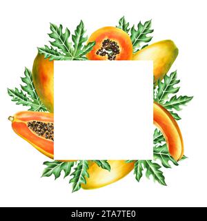 Marker frame, logo and templates with sweet ripe slice of papaya with grains in watercolor style. Hand drawn realistic tasty organic illustration of e Stock Photo