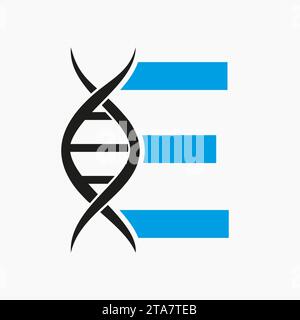 Dna Logo On Letter E, Genetics Logotype, Medicine Symbol Stock Vector