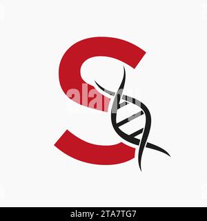 Dna Logo On Letter S, Genetics Logotype, Medicine Symbol Stock Vector