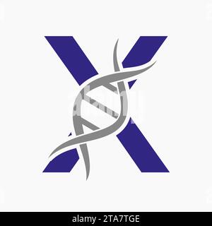 Dna Logo On Letter X, Genetics Logotype, Medicine Symbol Stock Vector