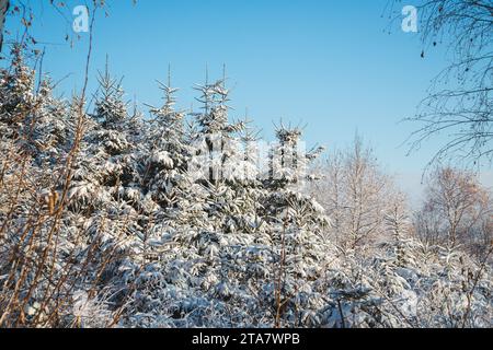 Winter in the Waldviertel, Austria Stock Photo