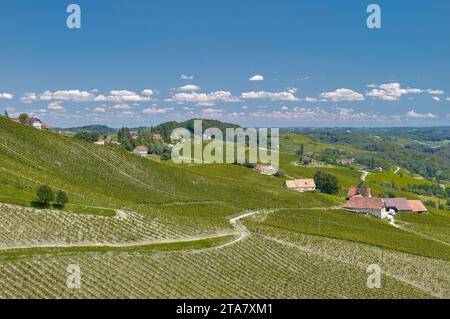 idyllic Vineyard Landscape close to Leutschach an der Weinstrasse in Wine Region called styrian Tuscany,Styria,Austria Stock Photo