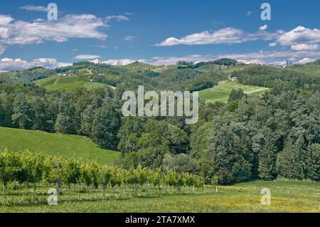 idyllic Vineyard Landscape close to Leutschach an der Weinstrasse in Wine Region called styrian Tuscany,Styria,Austria Stock Photo