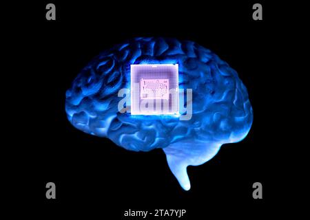 Human brain anatomical model with CPU processor microchip. Stock Photo