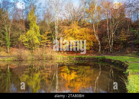 Autumn colours in the Royal Forest of Dean - Lightmoor Pool near Speech House, Gloucestershire, England UK Stock Photo