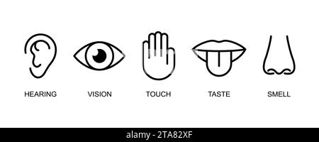A set of icons of the five human senses hearing, sight, touch, taste, smell. Simple line icons ear, eye, hand, mouth with tongue and nose. Vector illu Stock Vector