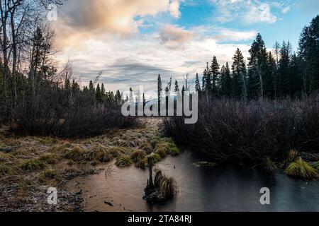 Sunrise at Lily Marsh in Idaho's Ponderosa State Park Stock Photo