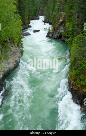 Fraser River, Mt Robson Provincial Park, British Columbia, Canada Stock Photo