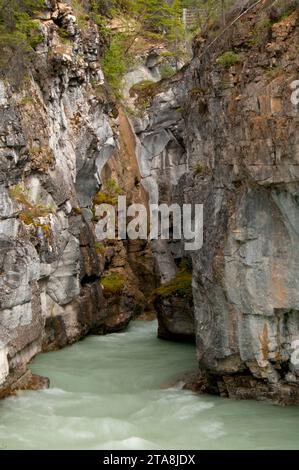 Marble Canyon, Kootenay National Park, British Columbia, Canada Stock Photo