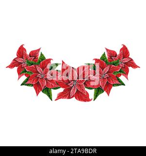 Christmas flower poinsettia composition,hand painted watercolor illustration isolated on white background.Floral illustration for Christmas decoration Stock Photo