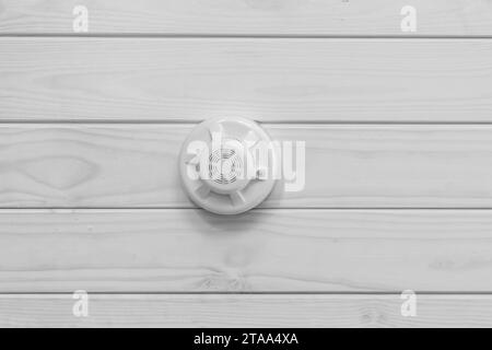 White smoke detector on the ceiling. Fire safety and alarm concept ...
